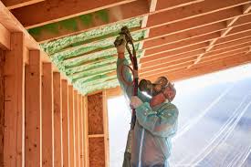 Best Insulation Air Sealing  in San Luis, AZ